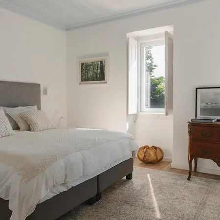 Villa Tamar - *